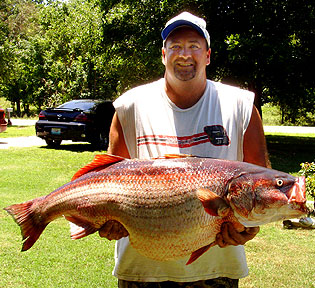 One of the reasons some people find fishing endlessly fascinating is the element of chance it involves. Regardless of what you are fishing for, you never know what is going to turn up at the end of your line. Greg Blair spun the wheel of fishing fortune and came up with a 56-pound winner. 